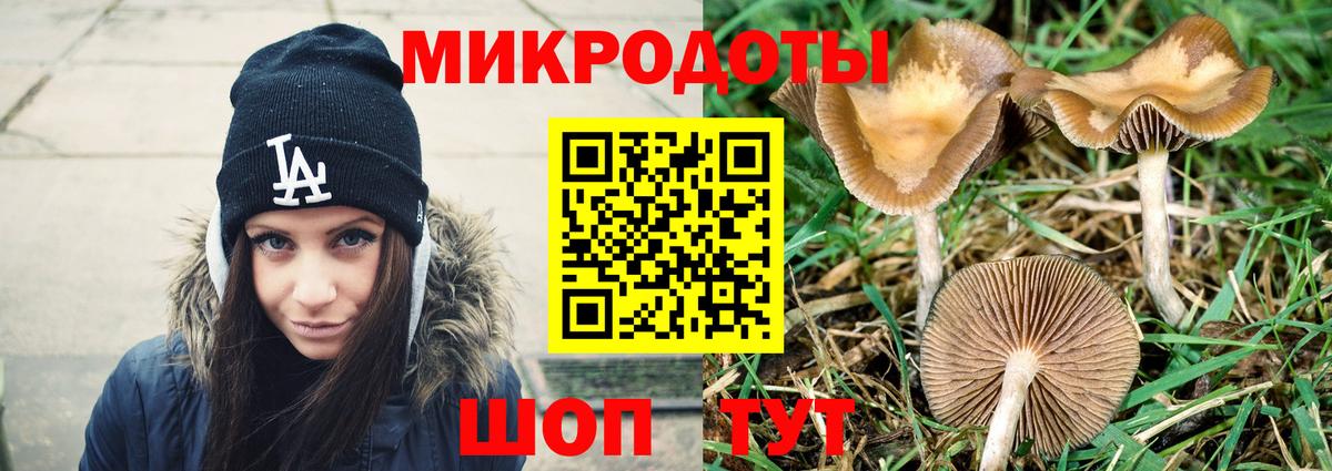 Галлюциногенные грибы GOLDEN TEACHER Славянск-на-Кубани